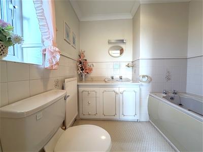Picture 19